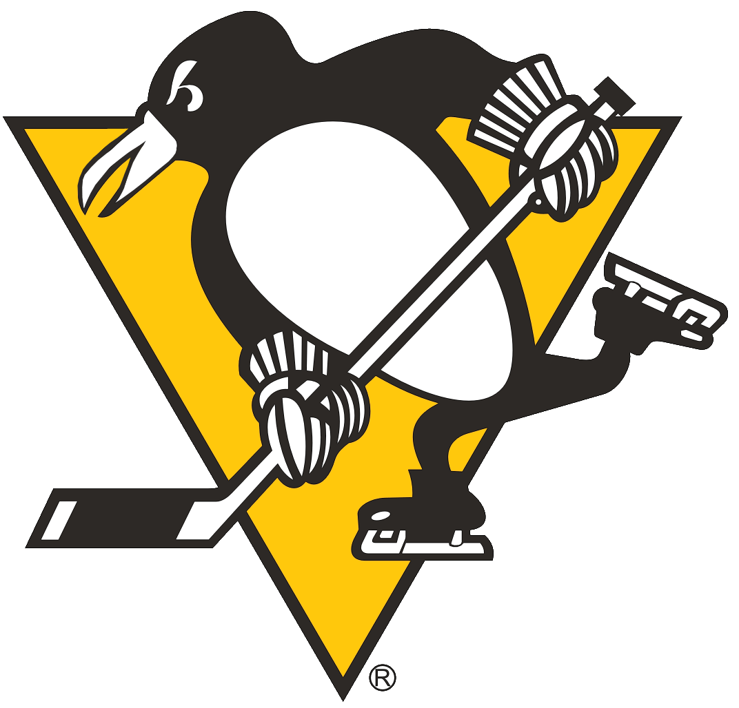 Pittsburgh Penguins 1972-1992 Primary Logo iron on heat transfer...